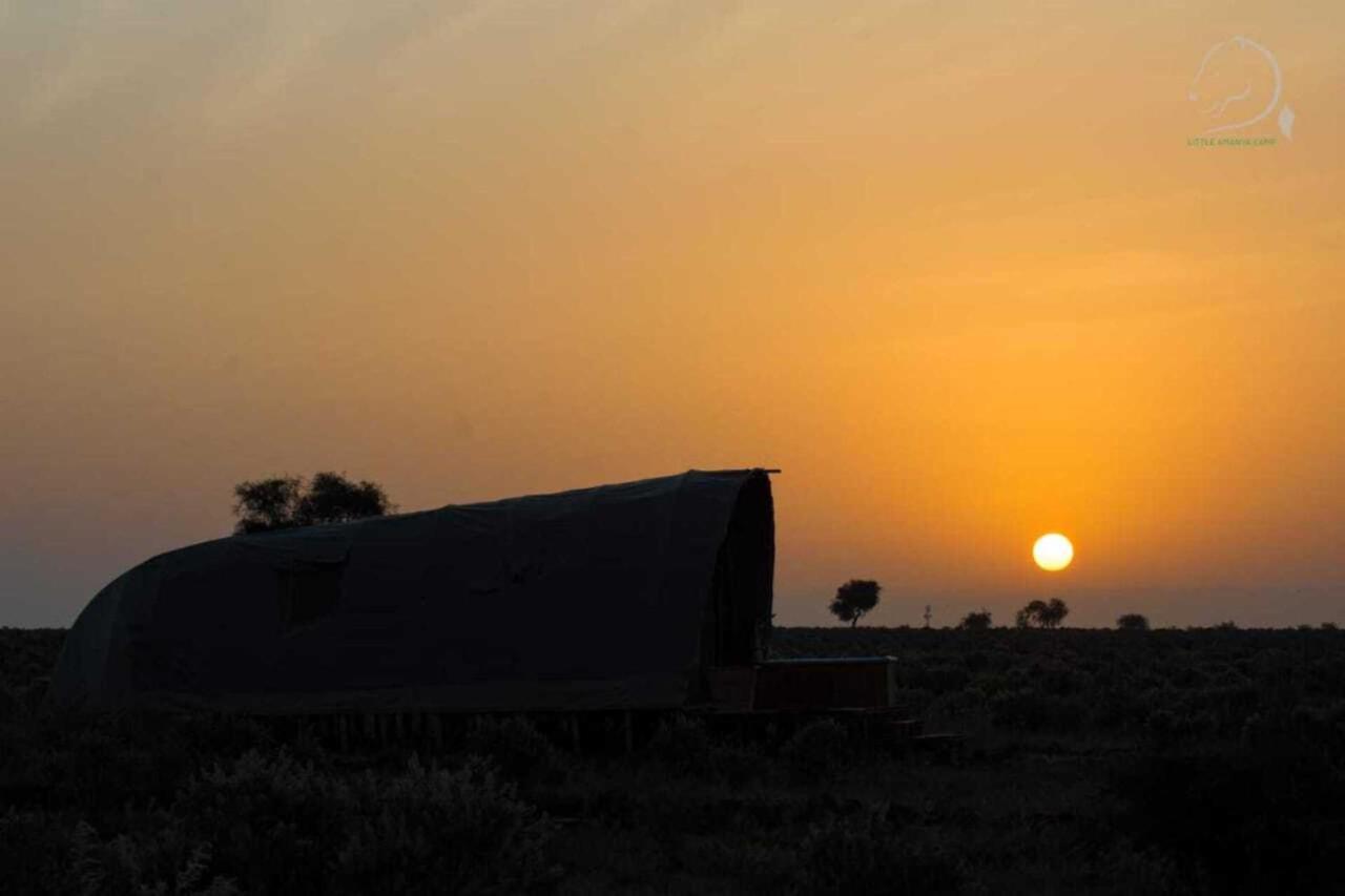 Amanya 1 -Bed King Lion Tent Amboseli-Nationalpark Exterior foto